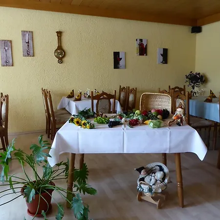 Pensjonat Landgasthof Schneller Katzwinkel (Sieg)